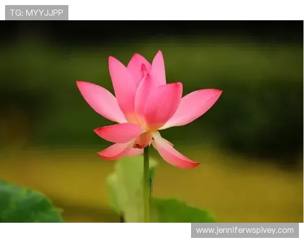 凯发旗舰厅注册平台怎么注册账号详细流程介绍帮助新手快速完成注册